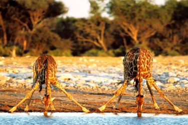 Complete Namibia Self Drive (14 Days Tour)