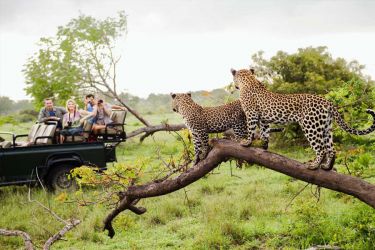 South Africa - Wildlife and Warriors (8 Days Tour)