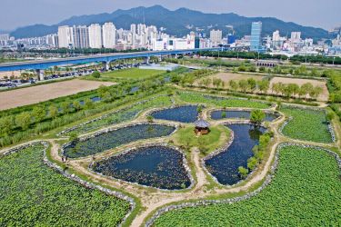 Discover South Korea (7 Days Tour )