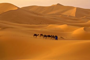 Explore Rajasthan Jaipur