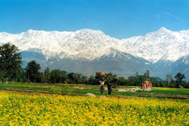 Golden Triangle with Himachal