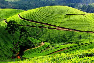 Adventure Kerala