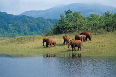 Gods Own Country