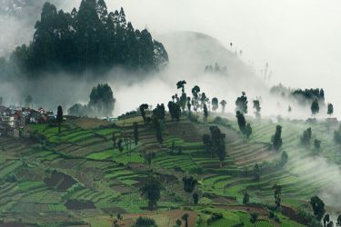 South India Hill Stations Tour