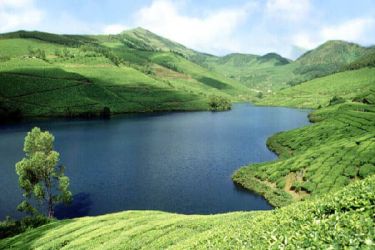 Unique Kerala Homestay